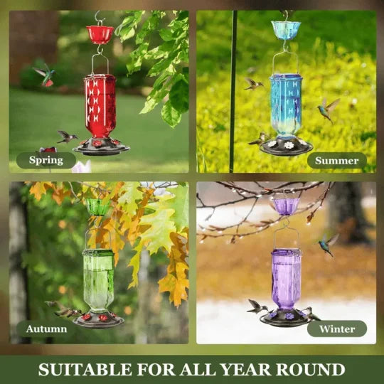 24oz Leak-Proof Glass Hummingbird Feeder – More Visitors, Less Mess