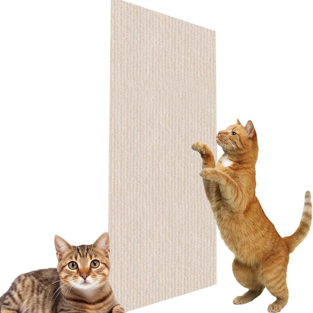 Cat Scratch Couch Protector – Save Your Sofa, Keep Your Cat