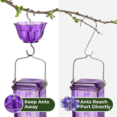 24oz Leak-Proof Glass Hummingbird Feeder – More Visitors, Less Mess