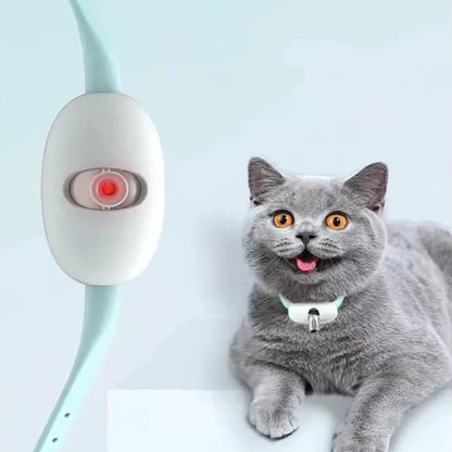 Laser Play Cat Collar with USB Charging – Playtime, On Your Cat's Schedule