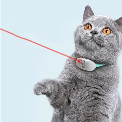 Laser Play Cat Collar with USB Charging – Playtime, On Your Cat's Schedule