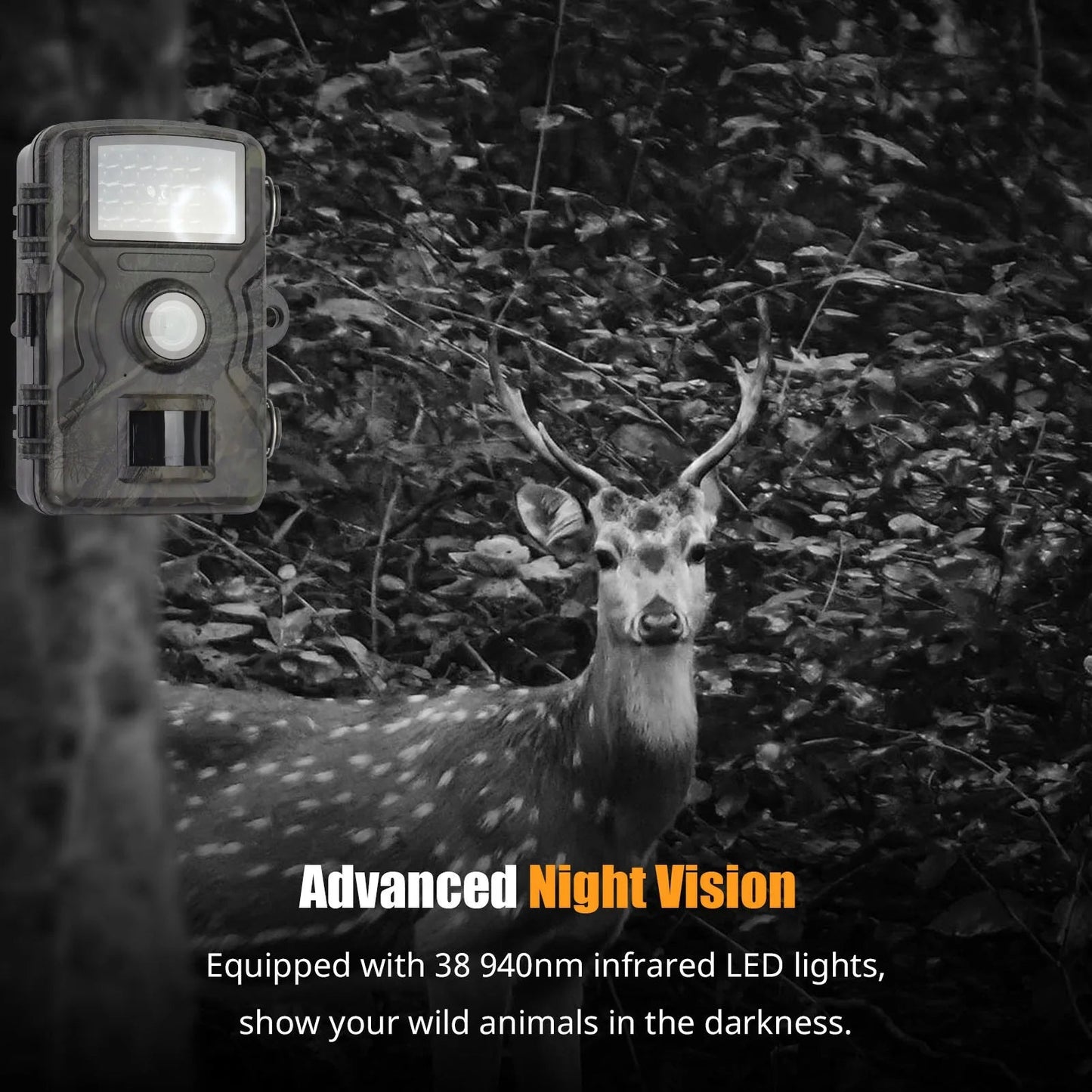 1080P Night Vision Trail Camera – Never Miss the Action