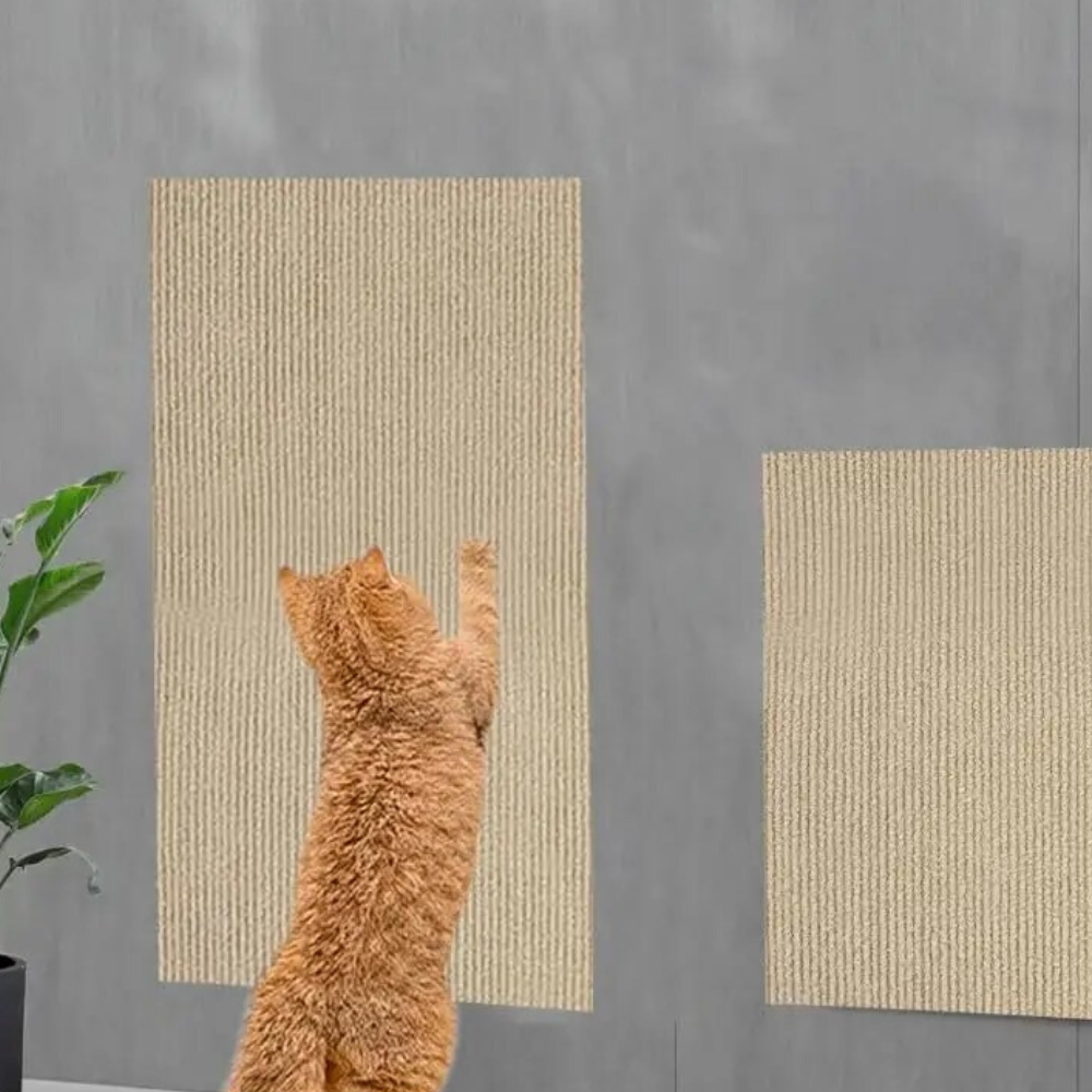 Cat Scratch Couch Protector – Save Your Sofa, Keep Your Cat