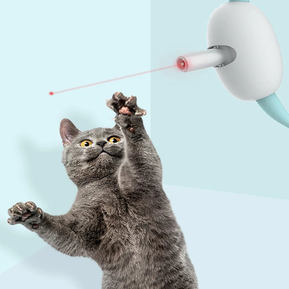 Laser Play Cat Collar with USB Charging – Playtime, On Your Cat's Schedule
