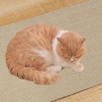 Cat Scratch Couch Protector – Save Your Sofa, Keep Your Cat