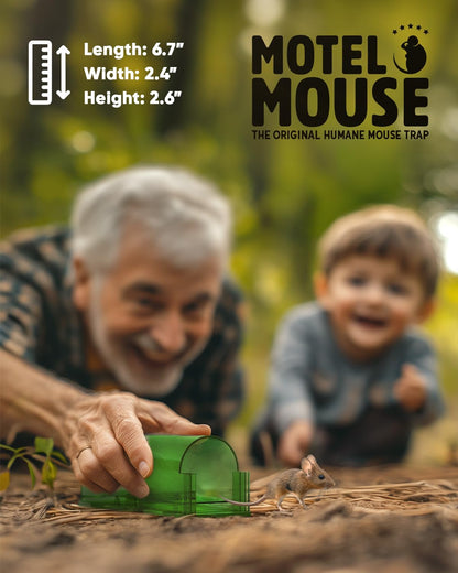 Humane Mouse Traps (4-Pack) – Catch & Release, No Mess, No Guilt