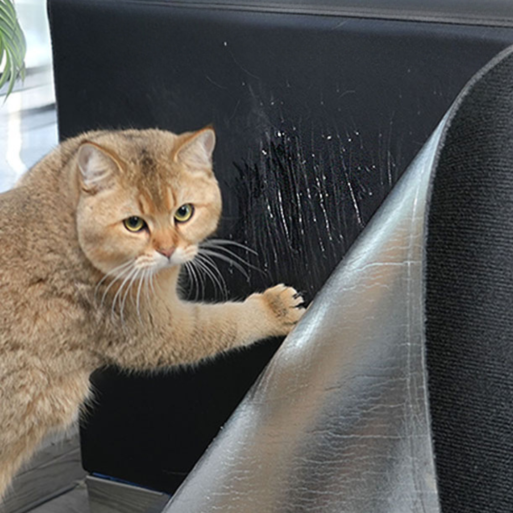 Cat Scratch Couch Protector – Save Your Sofa, Keep Your Cat