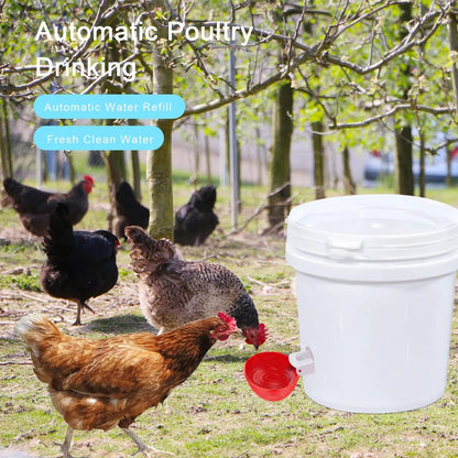 Automatic Chicken Waterer Set – No More Daily Refills