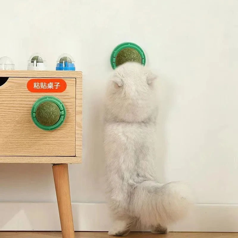 Premium Catnip Balls (4-Pack) – Playtime Your Cat Won't Get Bored Of