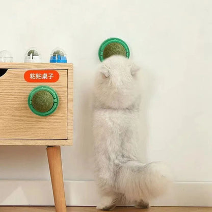 Premium Catnip Balls (4-Pack) – Playtime Your Cat Won't Get Bored Of