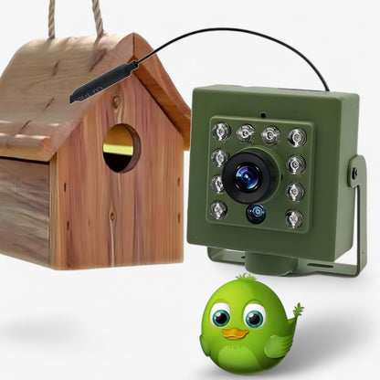 1080P Weatherproof Wildlife Camera – Capture Nature in Stunning Detail