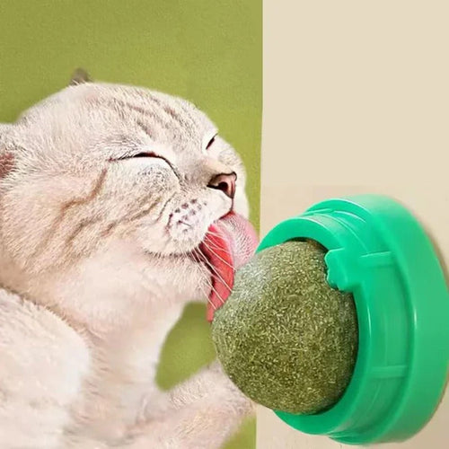Premium Catnip Balls (4-Pack) – Playtime Your Cat Won't Get Bored Of