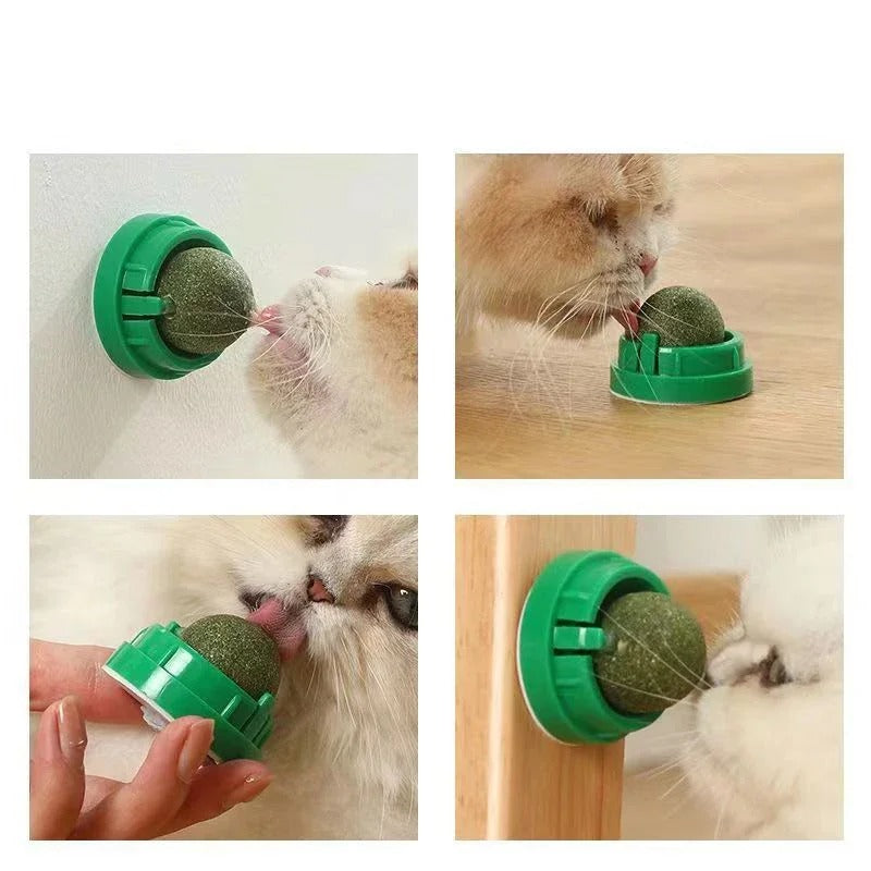 Premium Catnip Balls (4-Pack) – Playtime Your Cat Won't Get Bored Of