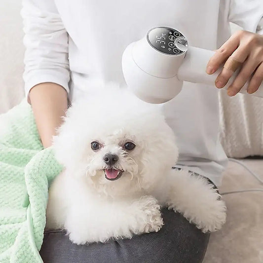 2-in-1 Smart Dog Hair Dryer – Salon-Quality Grooming at Home
