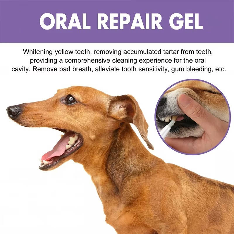 3-Set Dog Oral Care Gel – Fresher Breath, Healthier Gums