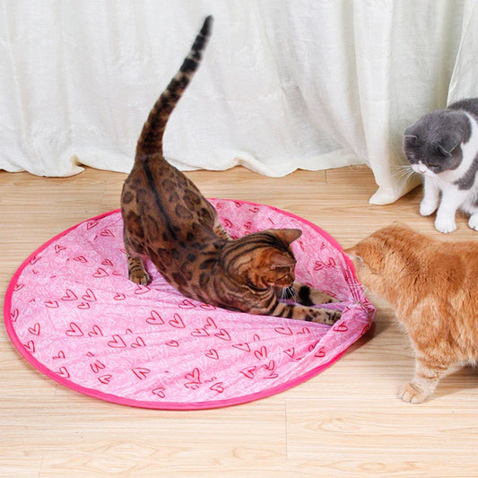2-in-1 Interactive Hunting Cat Toy – Hours of Active Play