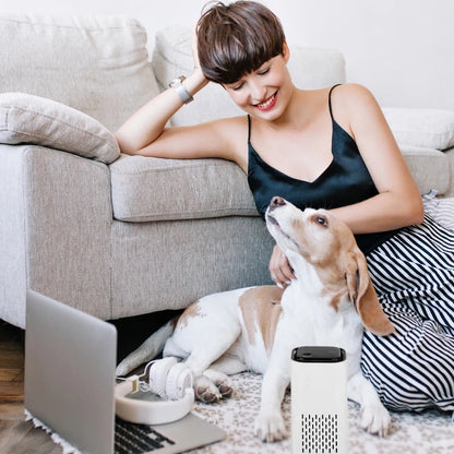 Pet Air Purifier – Say Goodbye to Pet Odors