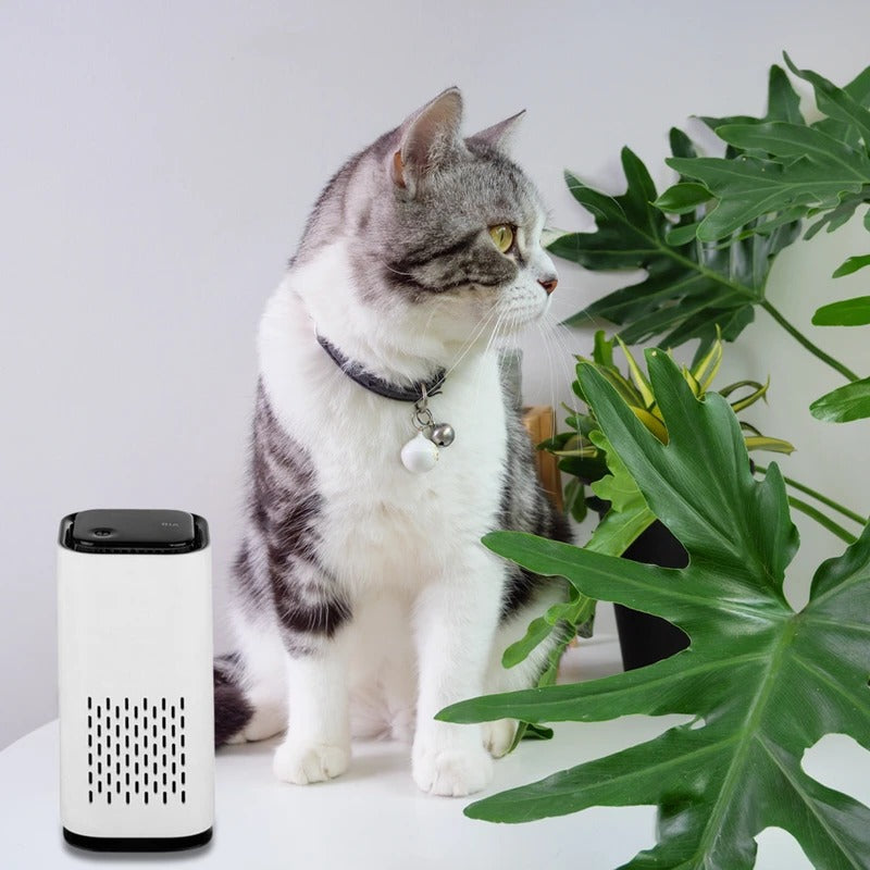 Pet Air Purifier – Say Goodbye to Pet Odors