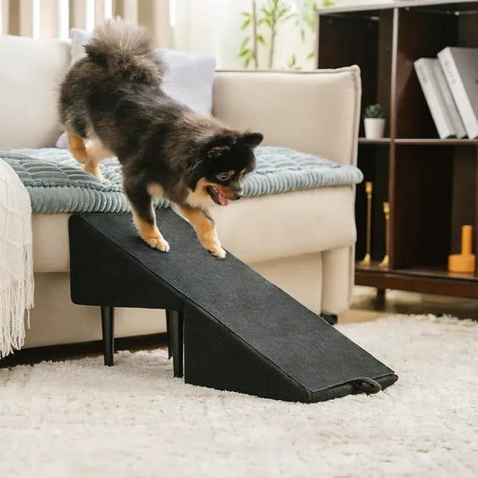 2-in-1 Dog Ramp & Step Stool – Safe Access, Any Height