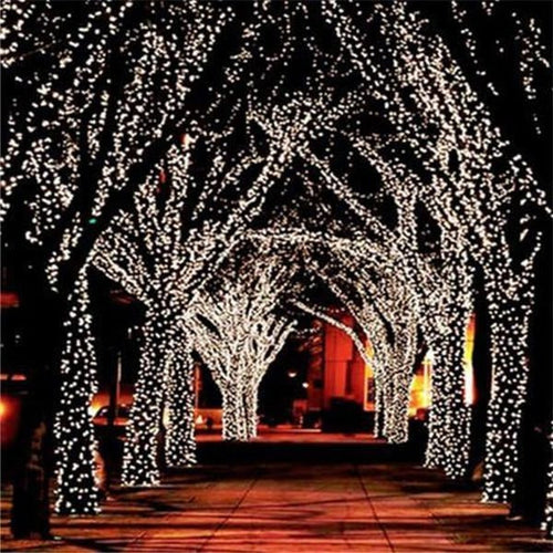 100-LED Solar Fairy Lights (17m) – Effortless Outdoor Glow