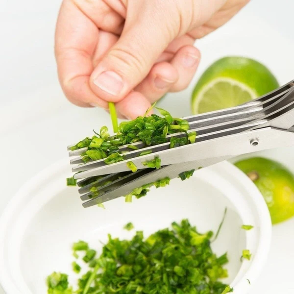 5-Blade Kitchen Herb Scissors – Chop Herbs in Seconds, Not Minutes